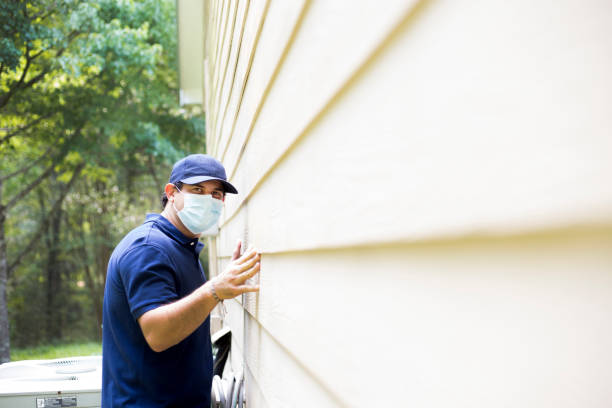 Affordable Siding Repair and Maintenance Services in Kalida, OH